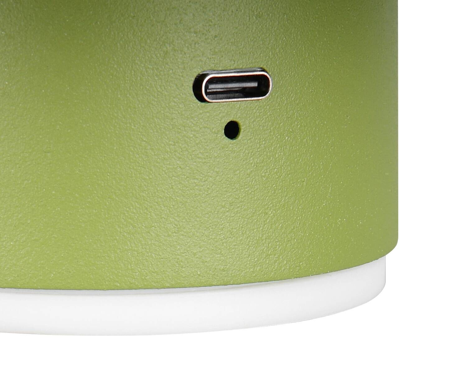Reality LED Wandleuchte DAVEY grün Metall 1 Brennstellen