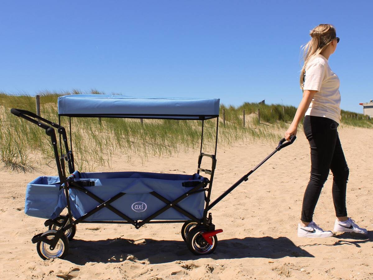 AXI Bollerwagen AB210 grau B/H/L: ca. 59x102x134 cm