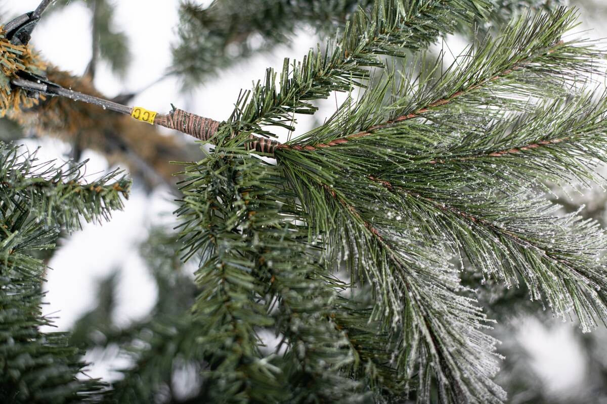 Evergreen Weihnachtsbaum Cedar Kiefer grün PVC B/H: ca. 114x210 cm