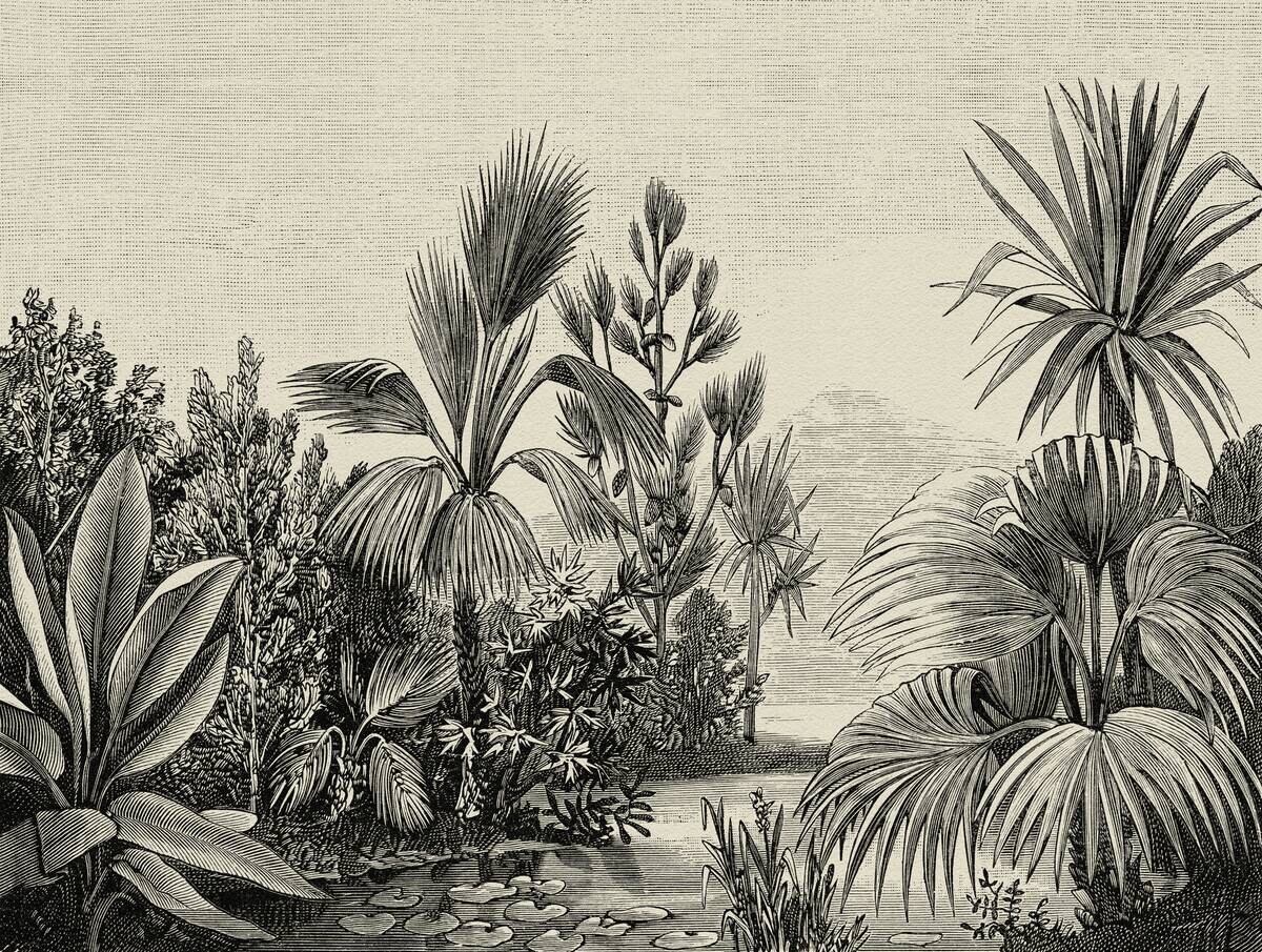 Livingwalls Fototapete Dschungel schwarz grau beige B/L: ca. 280x371 cm