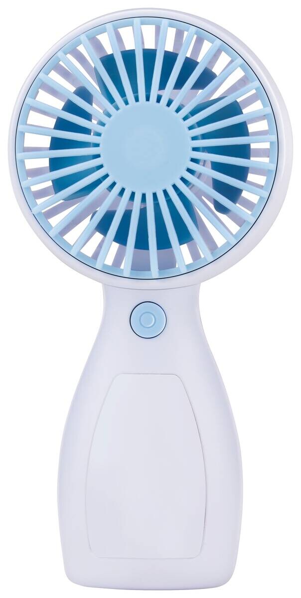 Handventilator grün Kunststoff B/H/L: ca. 4,5x6x13 cm