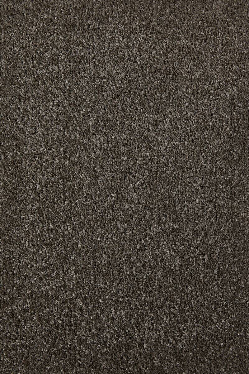 Teppichboden Sara braungrau B/L: ca. 200x400 cm pro Stück