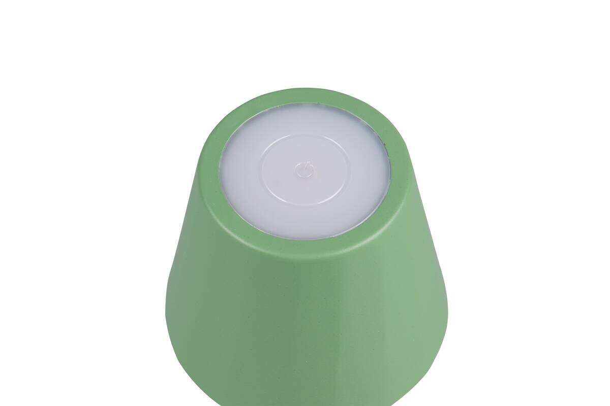Reality LED Tischleuchte DIAZ Pistazie Metall H: ca. 21 cm 1 Brennstellen