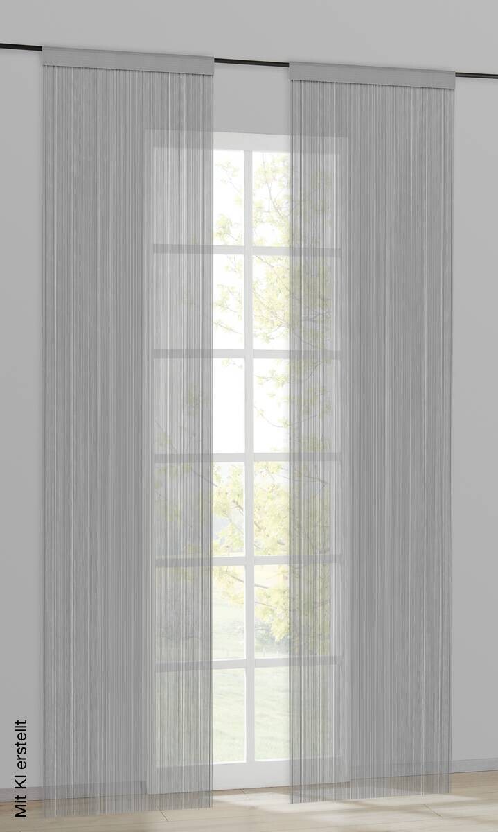 Fadenvorhang String silber B/L: ca. 200x245 cm