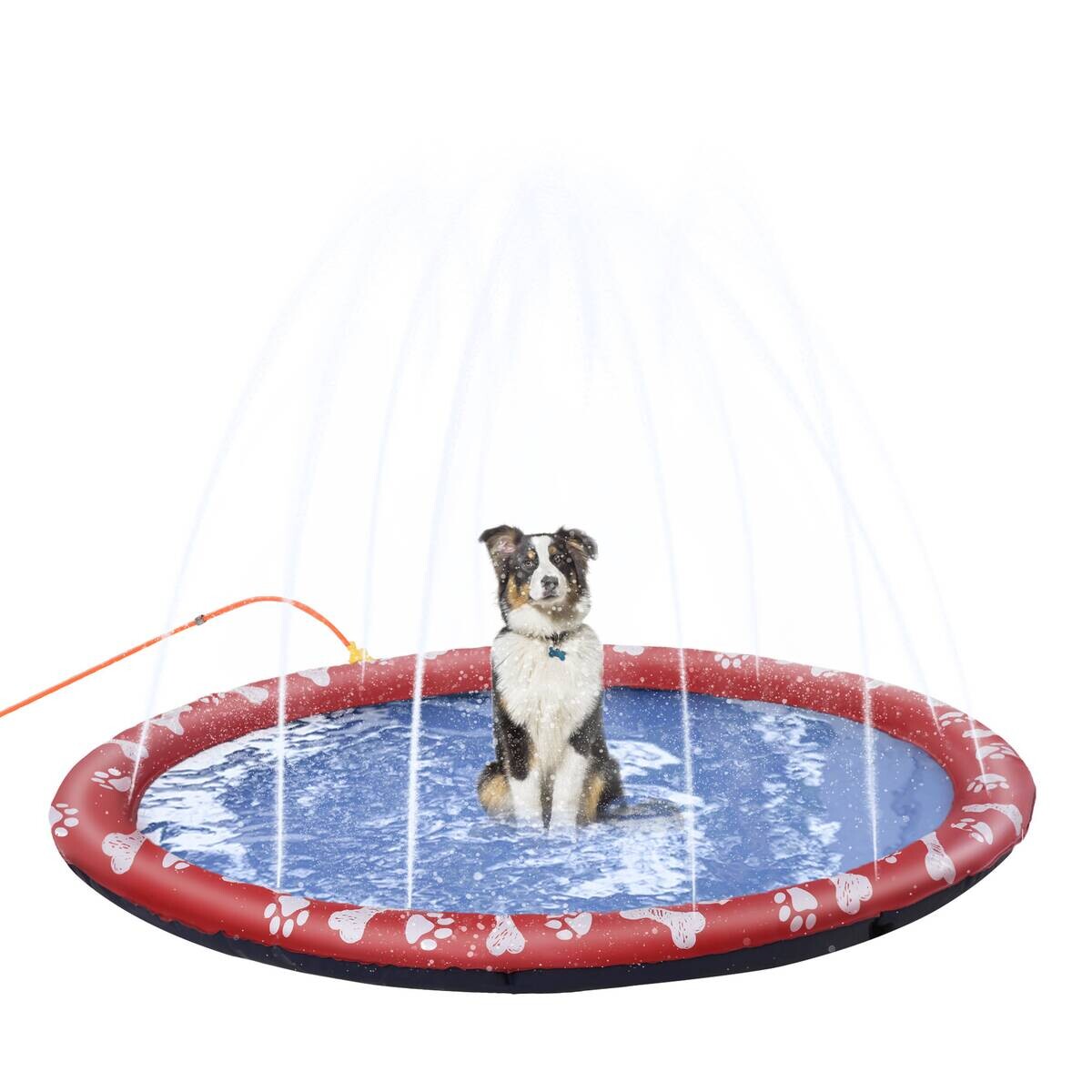 PawHut Hunde-Planschbecken rot Kunststoff B/H/L: ca. 170x1x170 cm