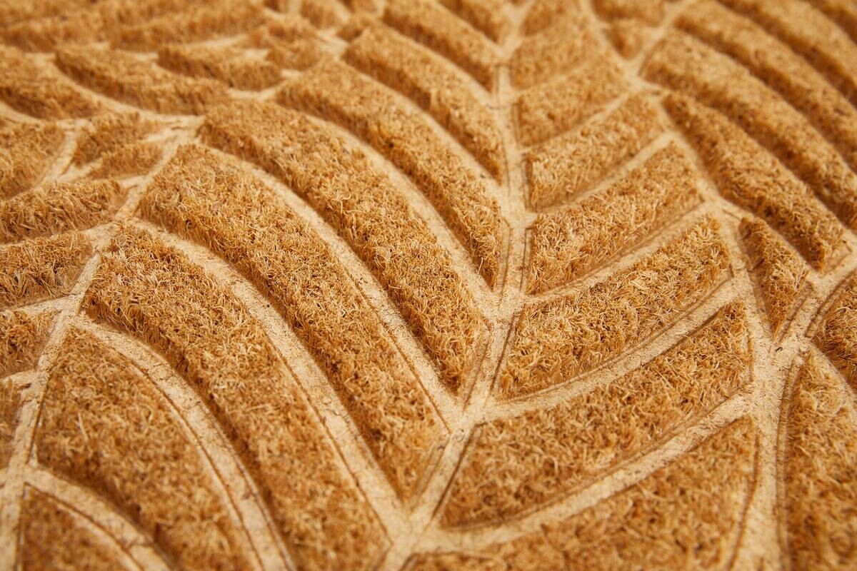 Andiamo Fußmatte Forest natur B/L: ca. 50x70 cm