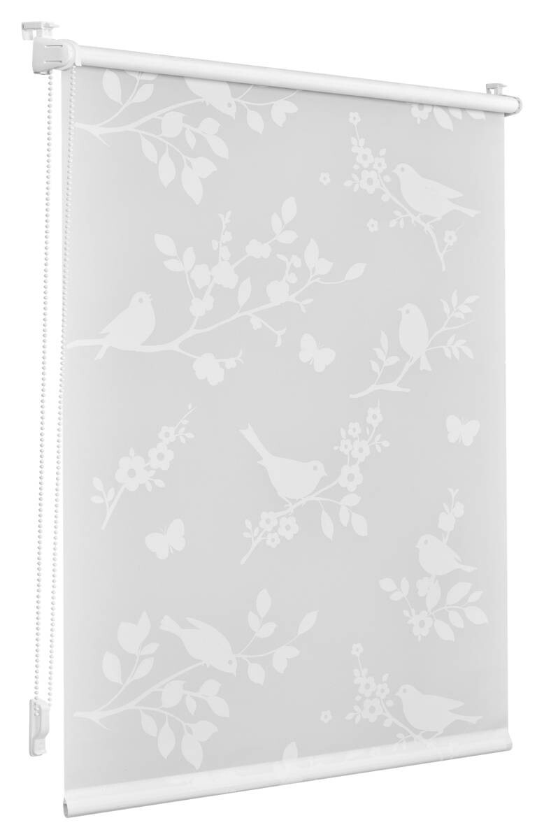 LICHTBLICK Rollo Pflanze weiß B/L: ca. 60x150 cm