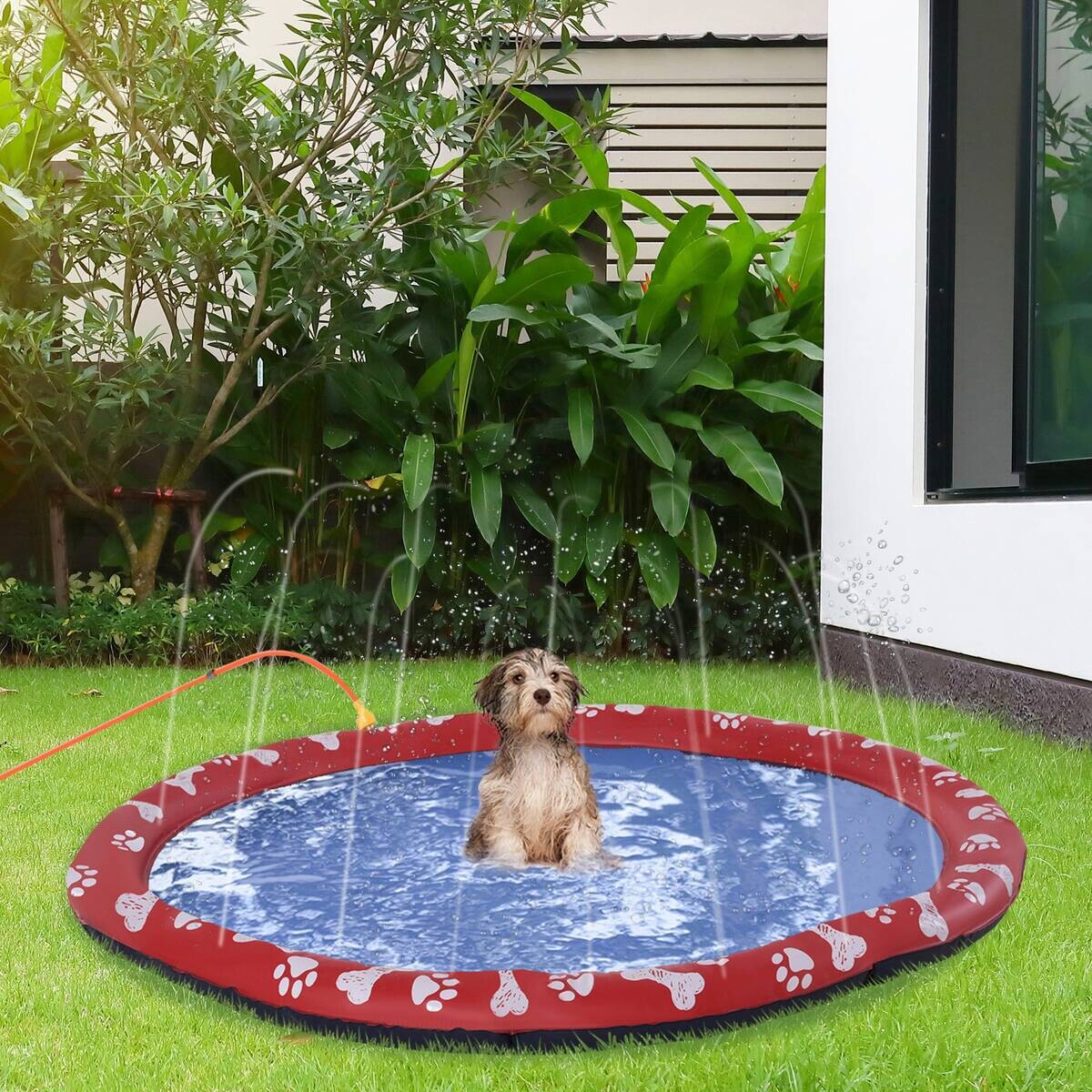 PawHut Hunde-Planschbecken rot Kunststoff B/H/L: ca. 170x1x170 cm
