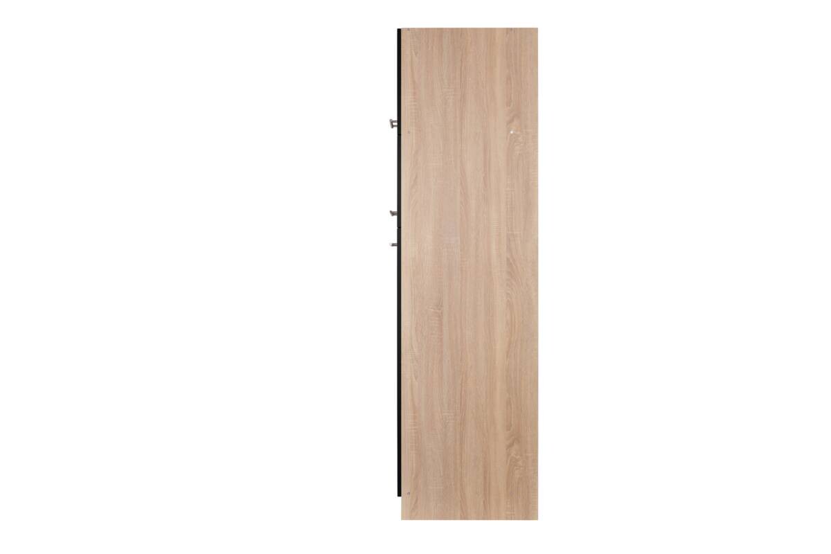 Kühlumbauschrank Merle schwarz B/H/T: ca. 60x200x60 cm