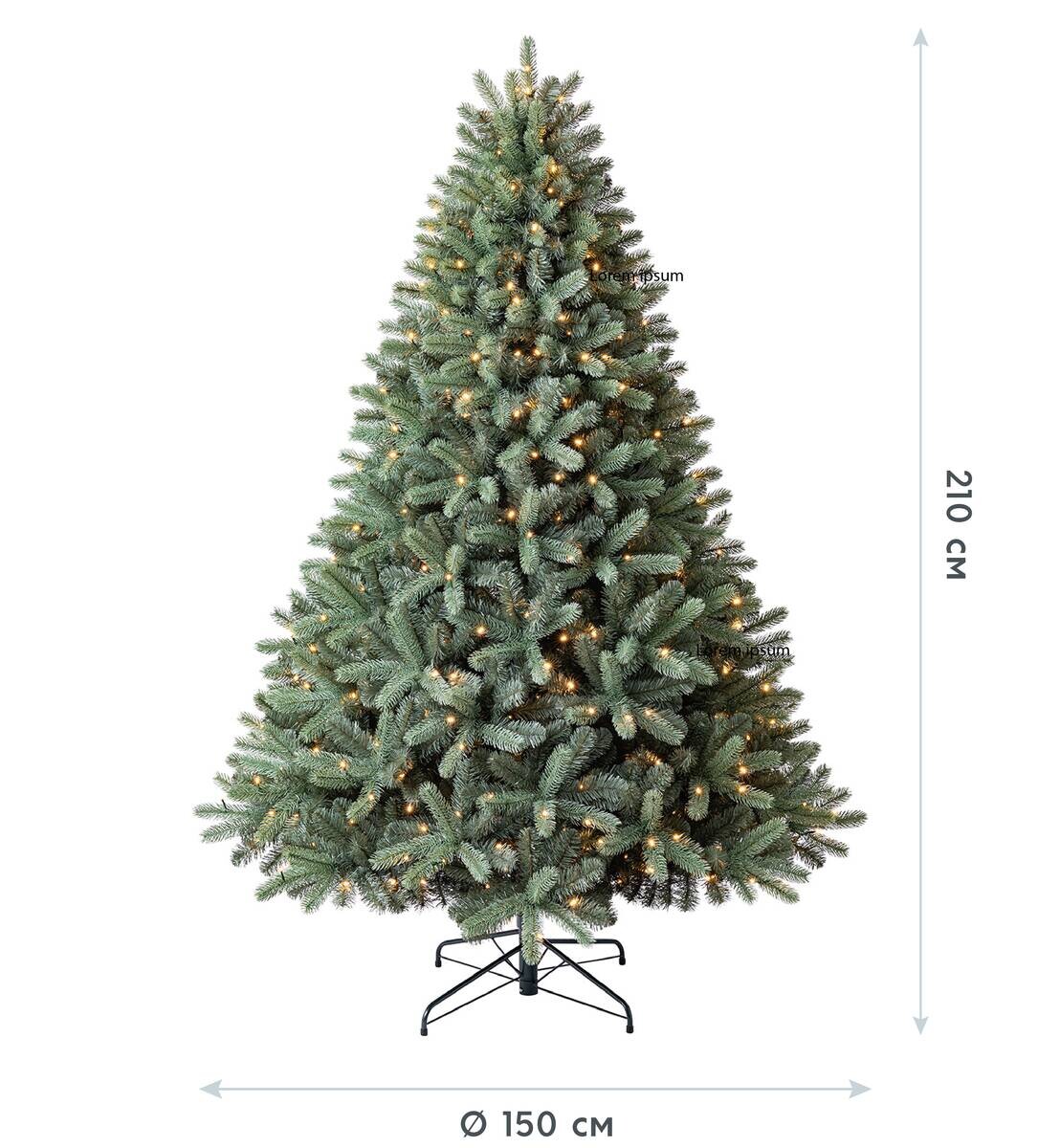 Evergreen Weihnachtsbaum Vermont Fichte