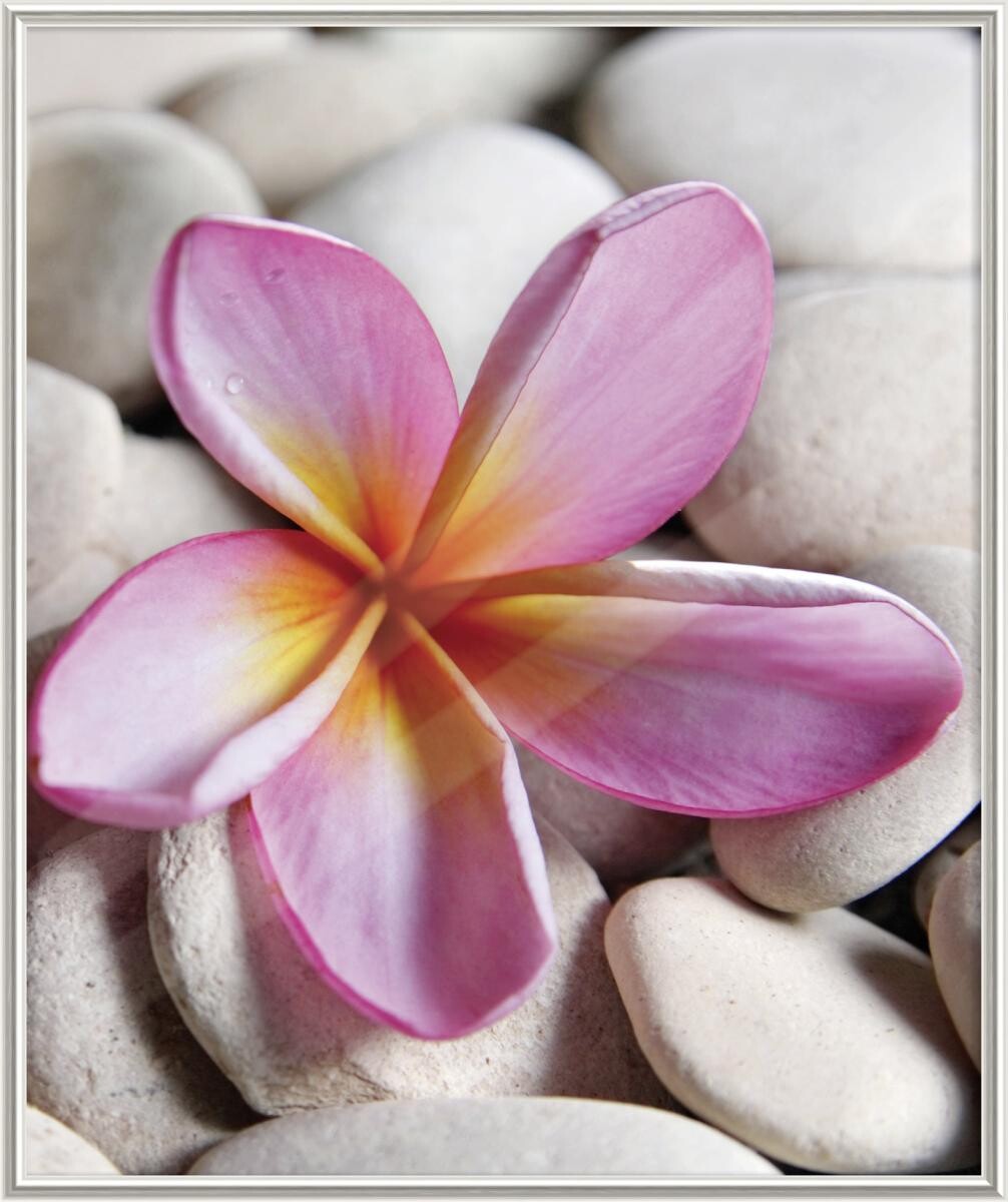 The Wall Bilderrahmen silber Kunststoff B/L: ca. 50x60 cm