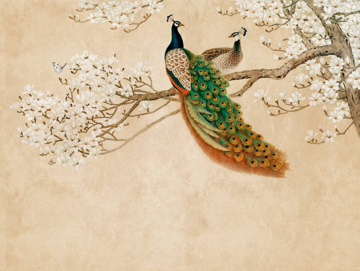 Livingwalls Fototapete Pfau orange beige weiß B/L: ca. 280x371 cm