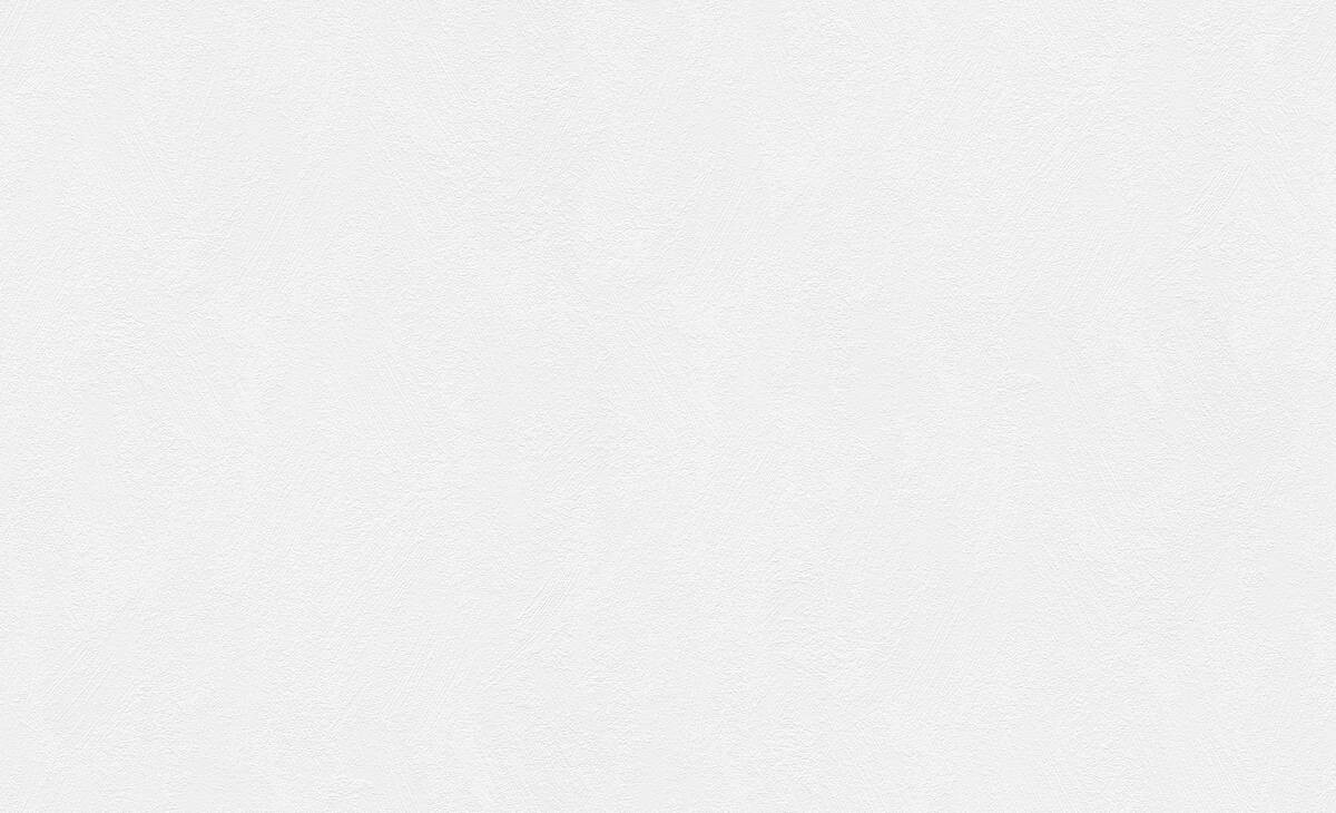 A.S.Creation Vliestapete Black & White Uni weiß B/L: ca. 53x1005 cm