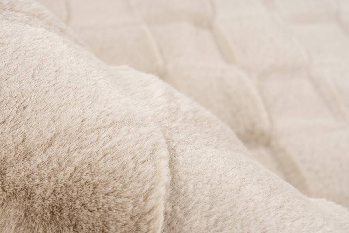Kayoom Teppich Botany 625 beige B/L: ca. 80x150 cm