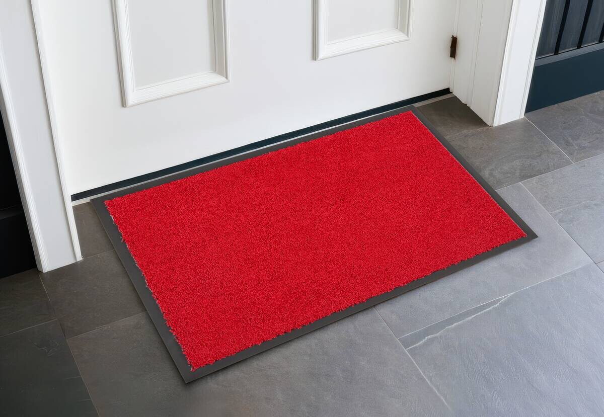 Schmutzfangmatte Future rot B/L: ca. 60x80 cm