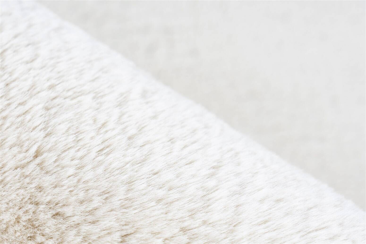 Kayoom Hochflorteppich Venezuela - Caracas Creme creme B/L: ca. 120x170 cm
