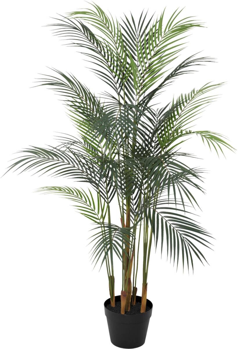 Kunstpflanze Deko-Palme schwarz Kunststoff B/H/L: ca. 17x112x17 cm
