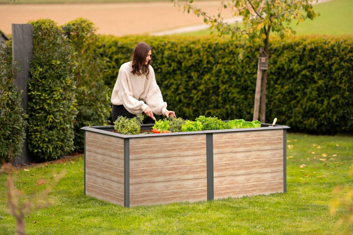 Westmann Hochbeet Primus-Multi XL anthrazit Metall B/H/T: ca. 200x77x100 cm