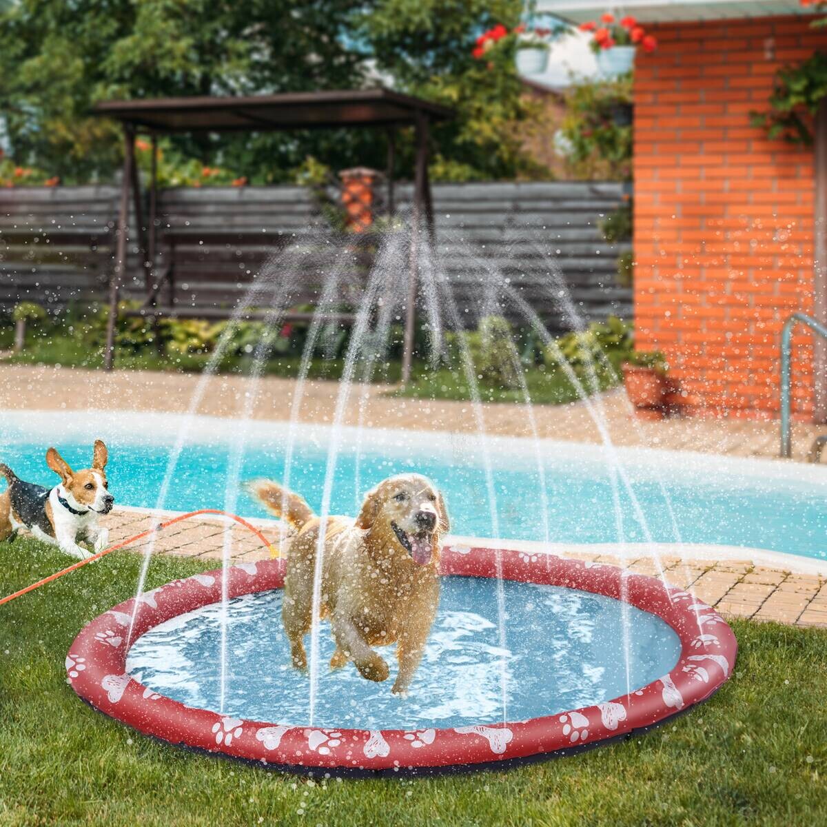PawHut Hunde-Planschbecken rot Kunststoff B/H/L: ca. 170x1x170 cm