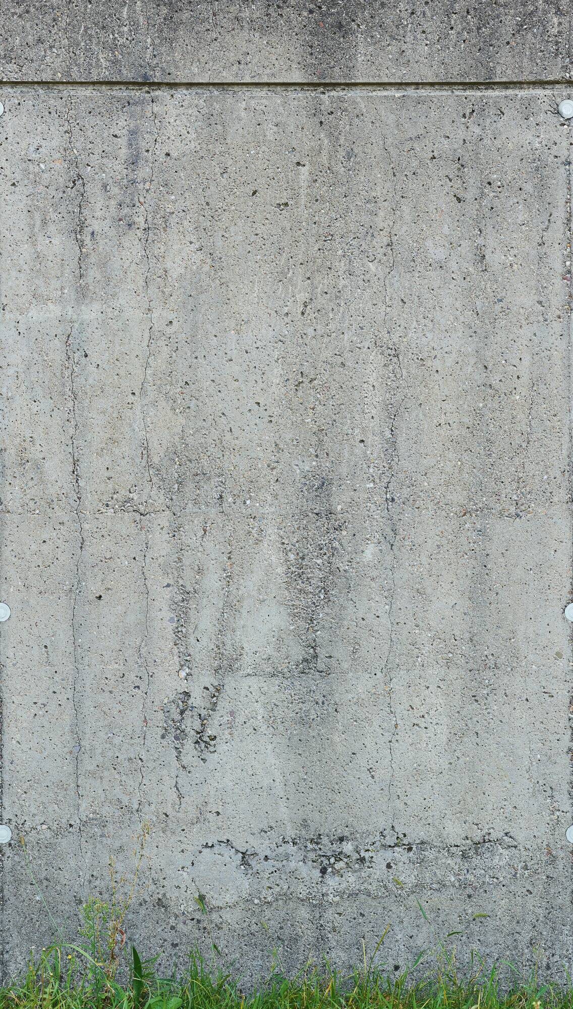 Livingwalls Fototapete Betonoptik grau grün B/L: ca. 280x159 cm