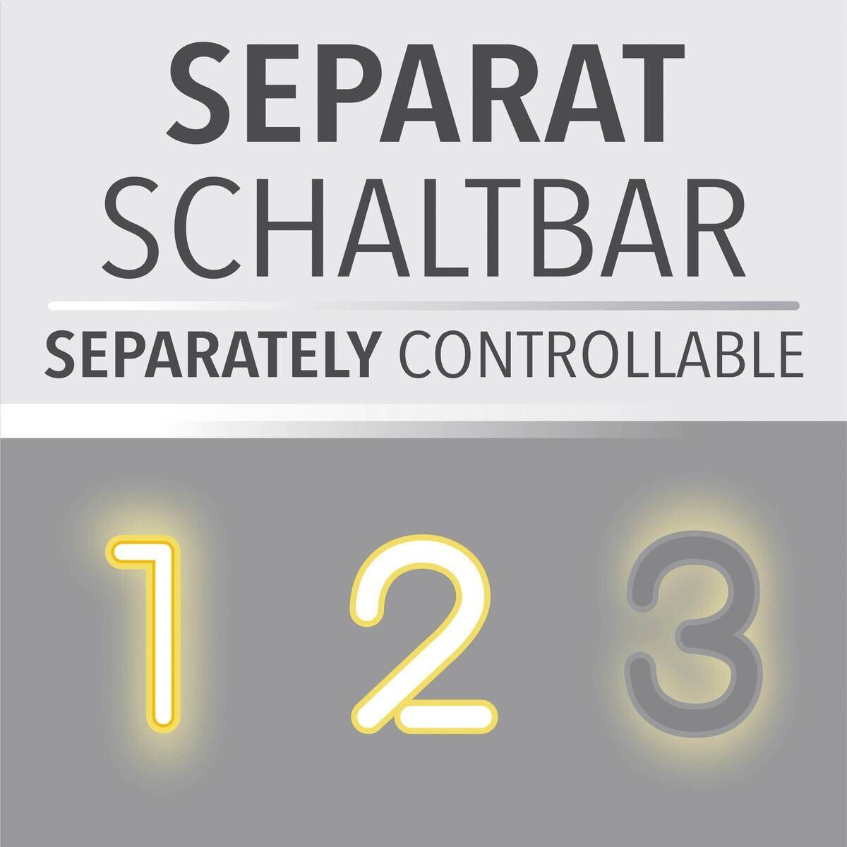 Just Light LED-Pendelleuchte Sontura schwarz B/H/L: ca. 17,1x120x103,6 cm