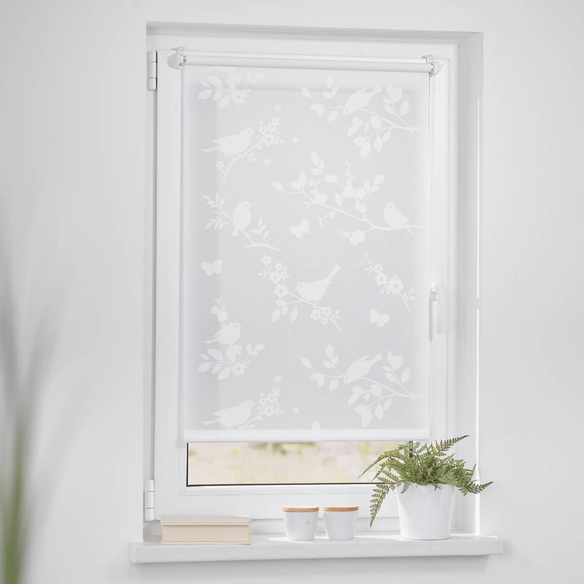LICHTBLICK Rollo Pflanze weiß B/L: ca. 60x150 cm