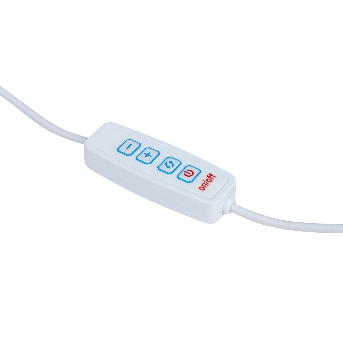 Nolo LED-Tischleuchte Flash1 B/H/T: ca. 14,5x22,5x13 cm