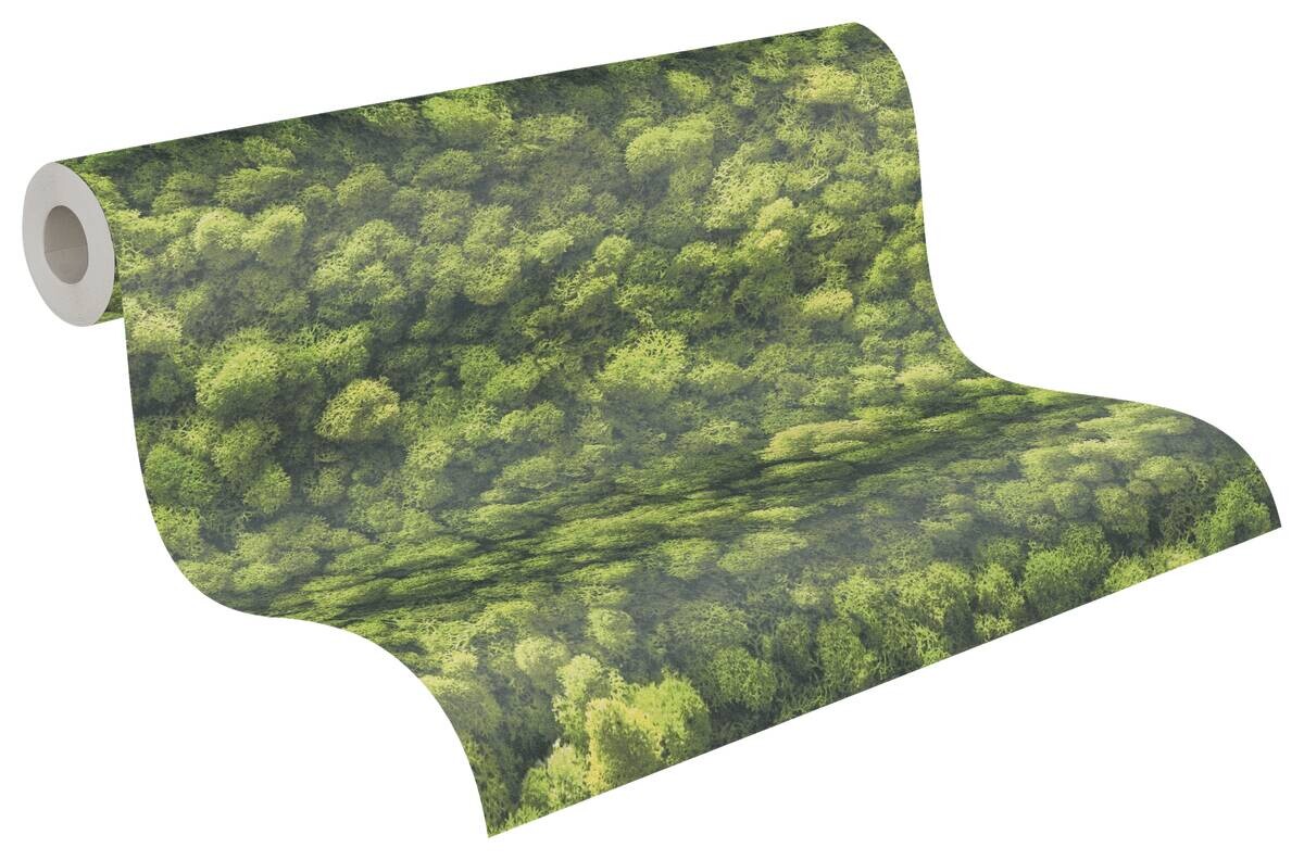 A.S.Creation Vliestapete grün B/H/D: ca. 53x1005x8 cm