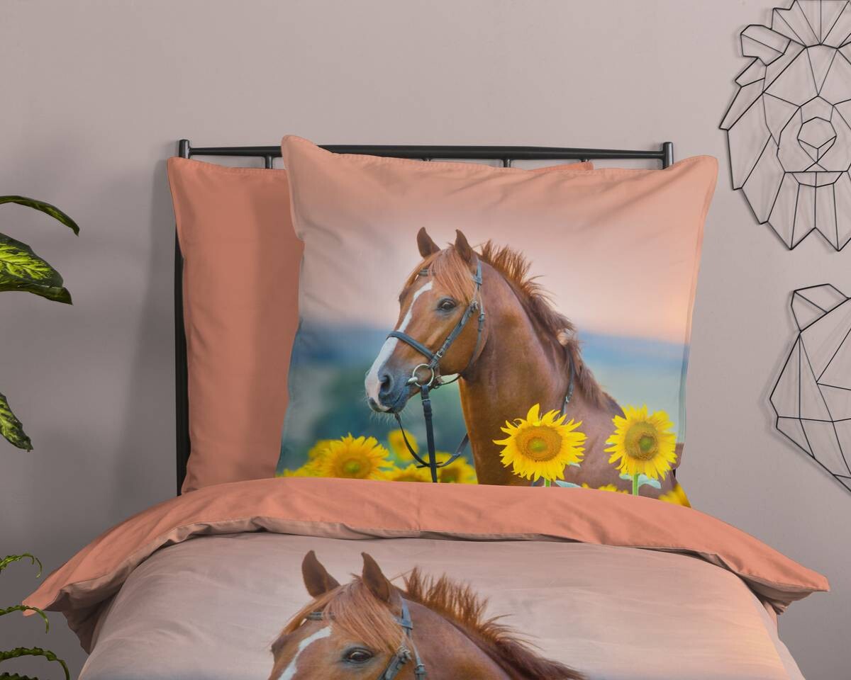 Baumwoll Bettwäsche Beauty Renforce