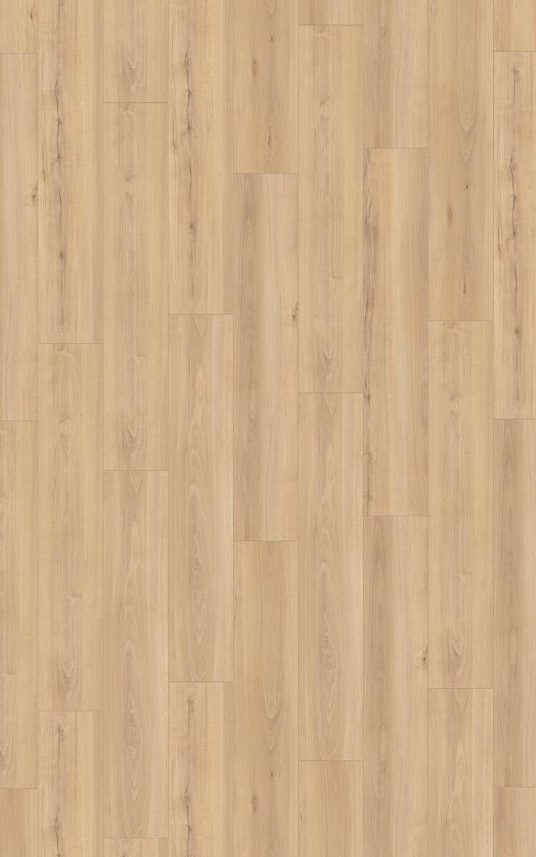 Laminatboden Buche natur ca. 2,694 m² im Paket B/L: ca. 24,4x138 cm pro Paket