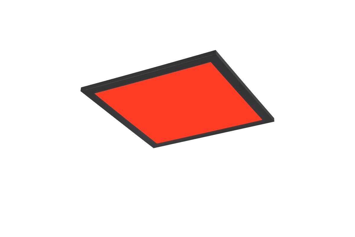 Reality LED-Deckenleuchte Beta schwarz Metall B/H/T: ca. 29,5x50x29,5 cm 1 Brennstellen