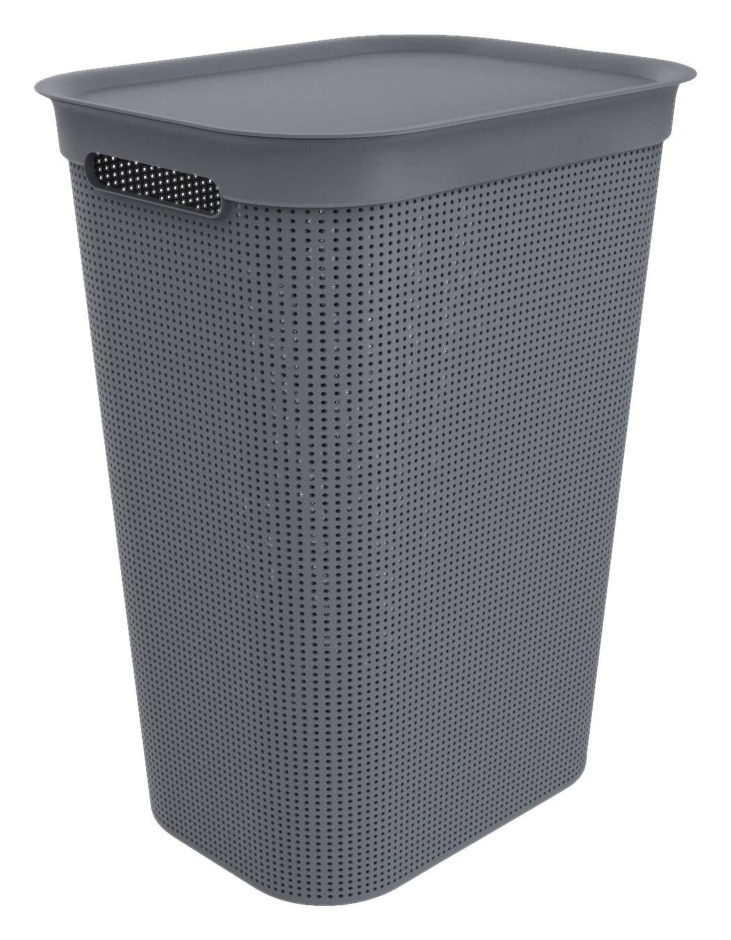 Rotho Wäschebox schwarz B/H/L: ca. 34x52,9x43,1 cm