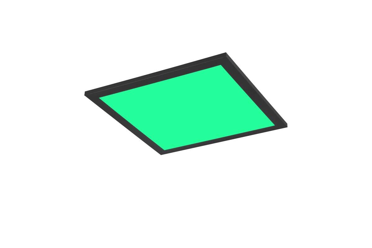 Reality LED-Deckenleuchte Beta schwarz Metall B/H/T: ca. 29,5x50x29,5 cm 1 Brennstellen