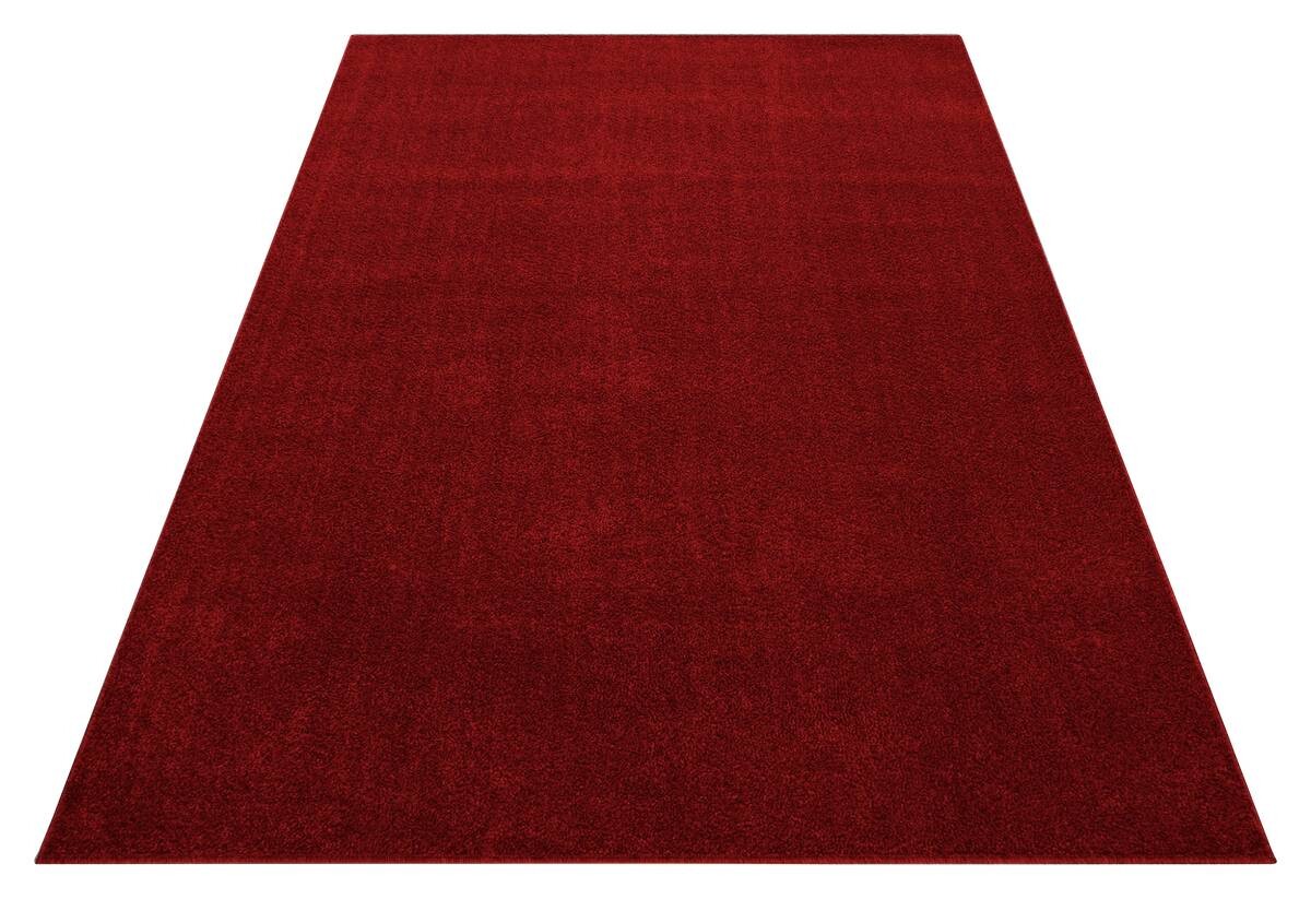 Ayyildiz Teppich ATA rot B/L: ca. 280x370 cm