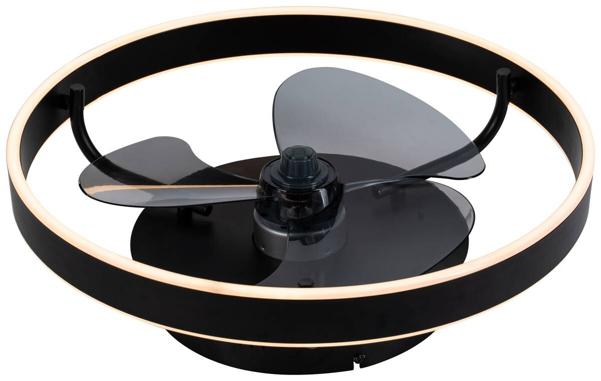 POCOline LED-Deckenventilator Hilko schwarz B/H/L: ca. 50x16x50 cm max. 40 W