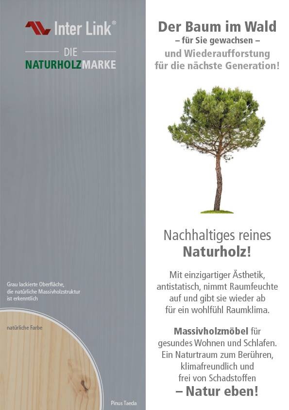 Funktionsbett Malte grau Liegefläche B/L: ca. 90x200 cm