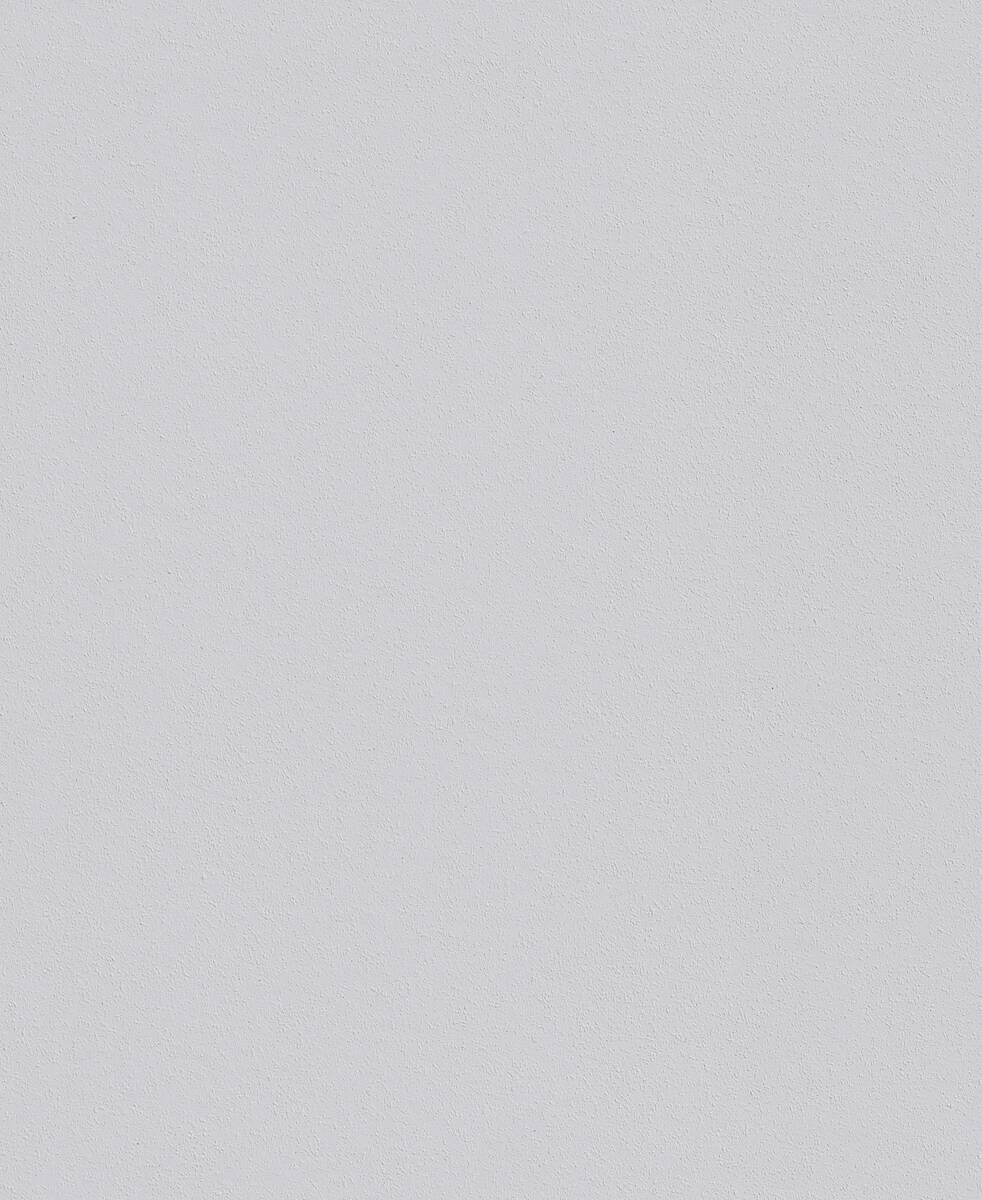 Erfurt Rauhfaser Viva weiß B/L: ca. 53x1500 cm