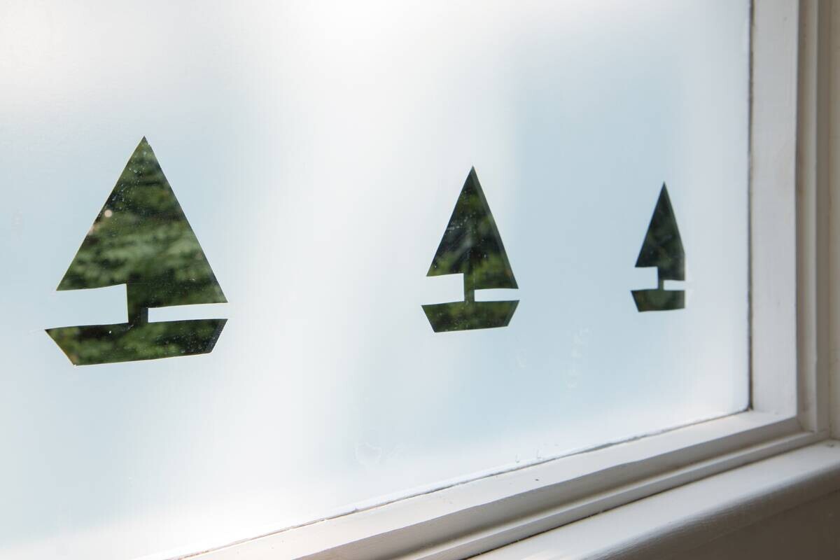 d-c-fix Fensterfolie Frost transparent B/L: ca. 90x150 cm