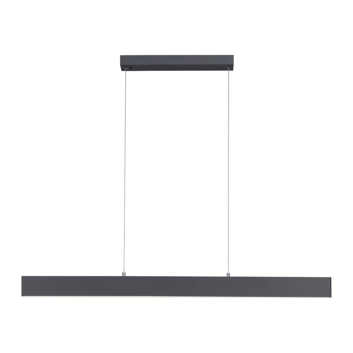 Paul Neuhaus LED-Pendelleuchte NILA 2548-13 anthrazit weiß Kunststoff Metall B/H/T: ca. 121x120x6 cm 2 Brennstellen