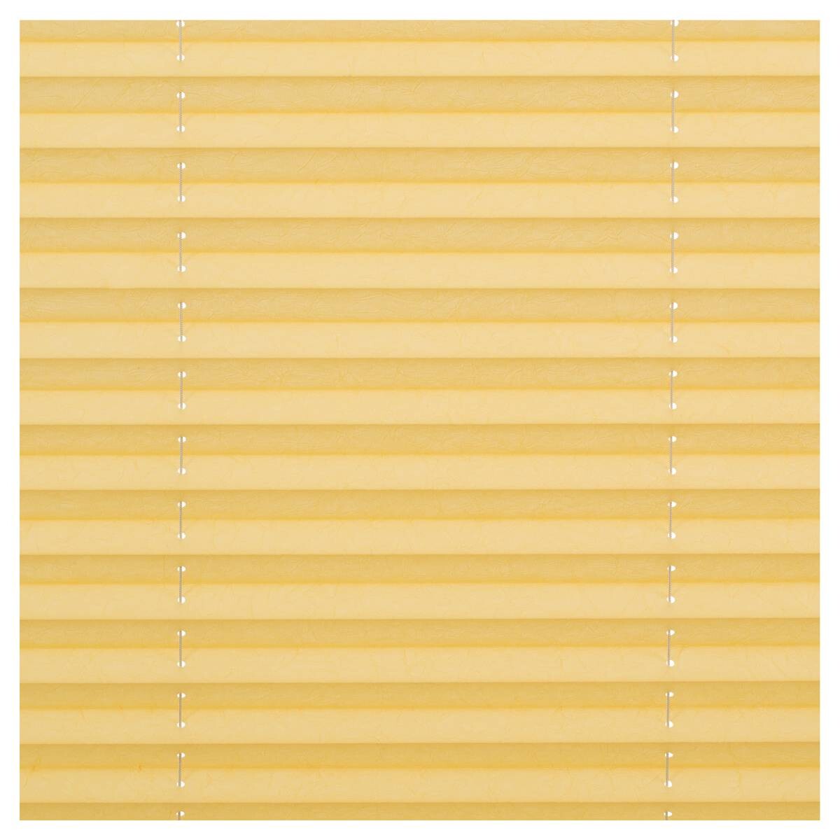 LICHTBLICK Spannplissee gelb B/L: ca. 55x130 cm