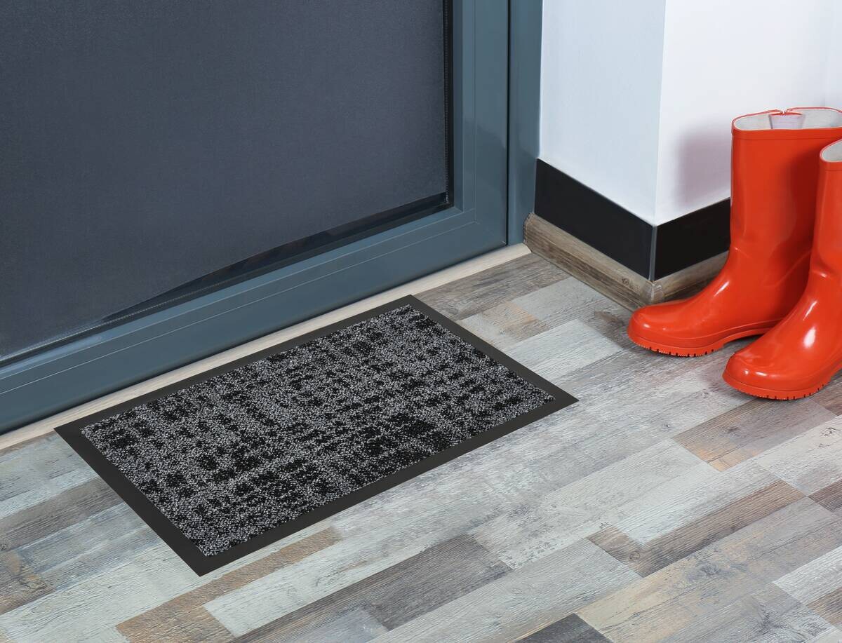 Schmutzfangmatte Traffic anthrazit B/L: ca. 40x60 cm