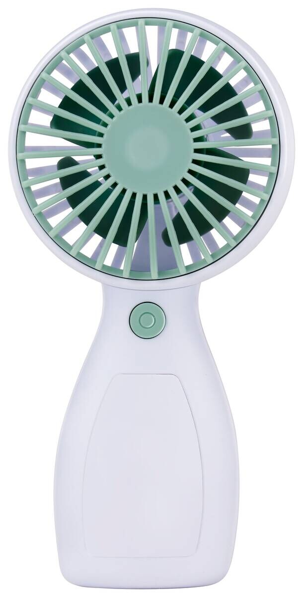 Handventilator grün Kunststoff B/H/L: ca. 4,5x6x13 cm