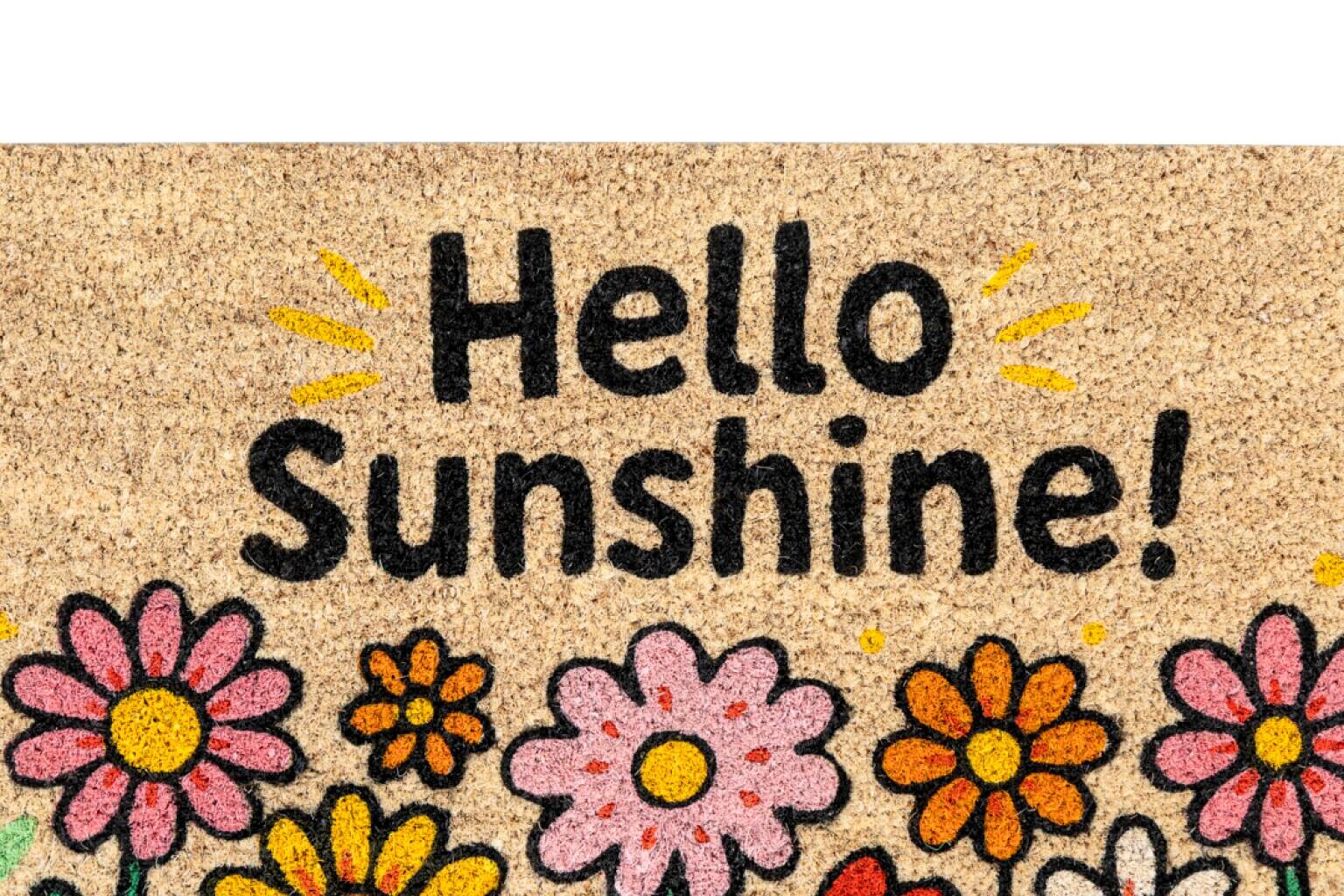 Fußmatte Kokos Sunshine Multi B/L: ca. 40x60 cm