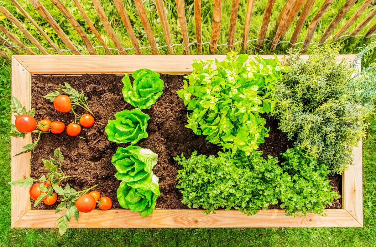 Westmann Hochbeet Lärche 170 natur Lärche B/H/L: ca. 90x84x170 cm