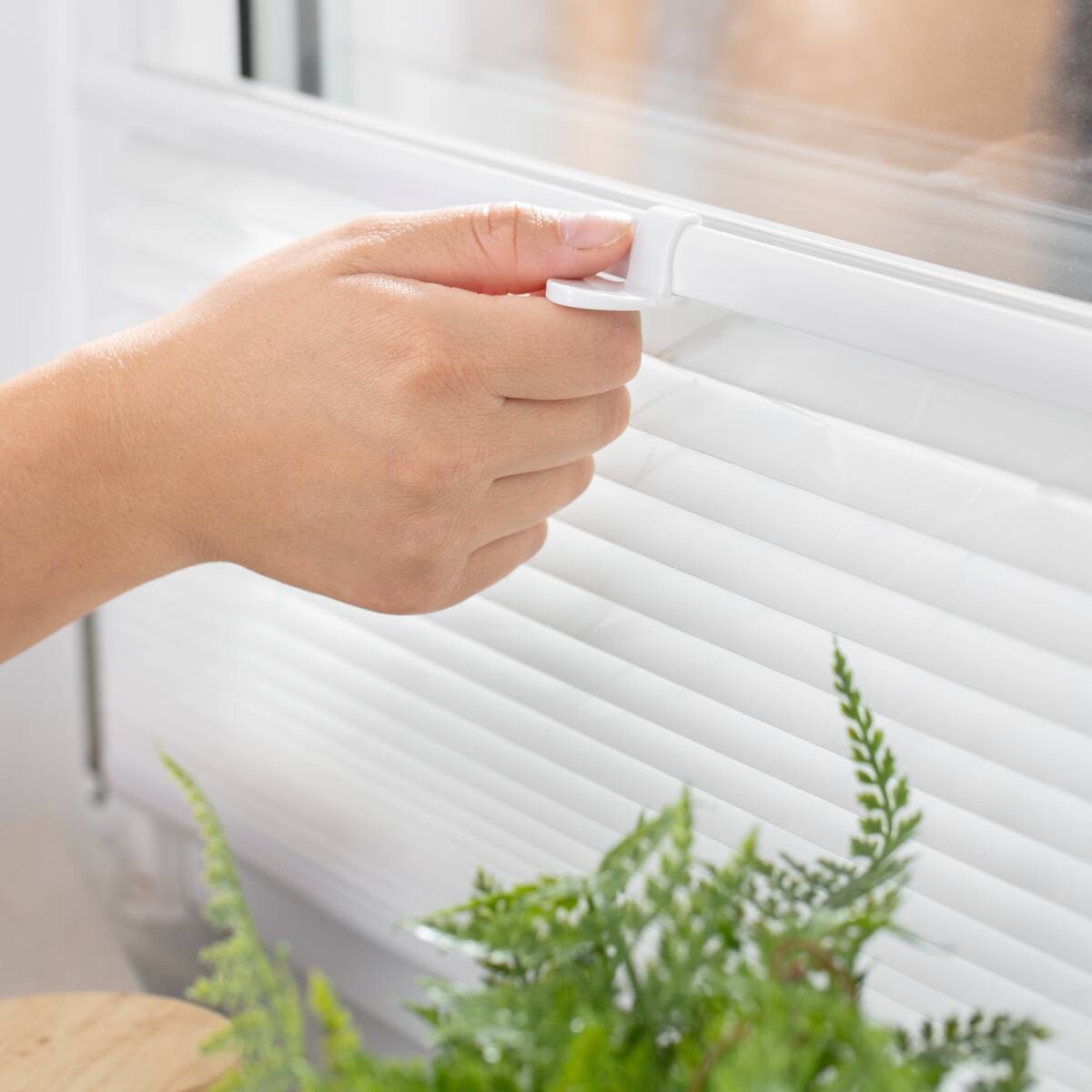 LICHTBLICK Spannplissee Pflanze weiß B/L: ca. 70x130 cm