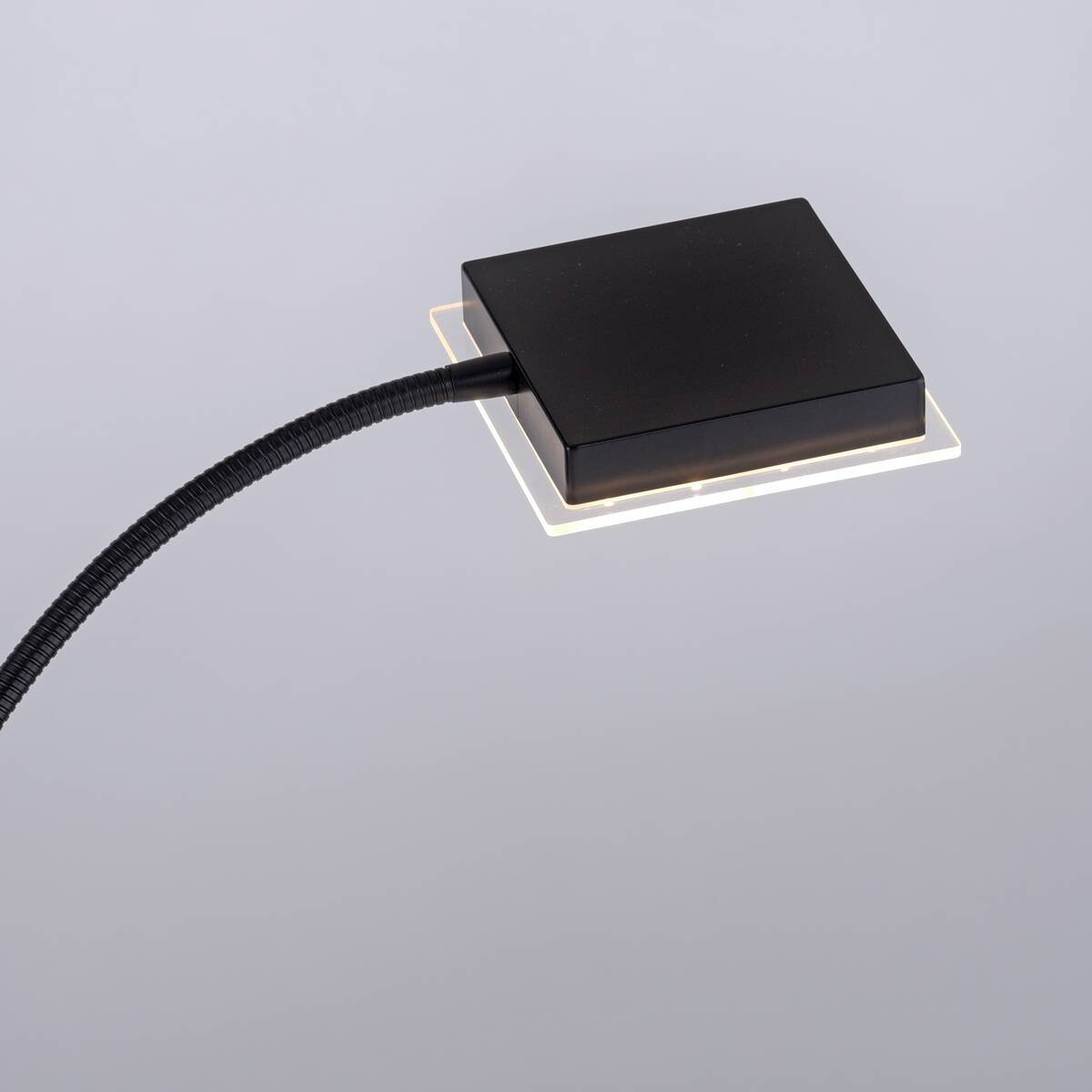 Just Light Stehlampe HANS 11710-18 schwarz Eisen Kunststoff B/H/T: ca. 25x190x25 cm 2 Brennstellen