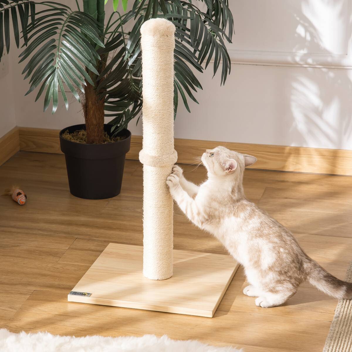 PawHut Kratzbaum