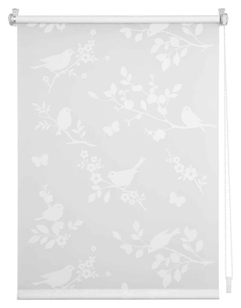 LICHTBLICK Rollo Pflanze weiß B/L: ca. 60x150 cm