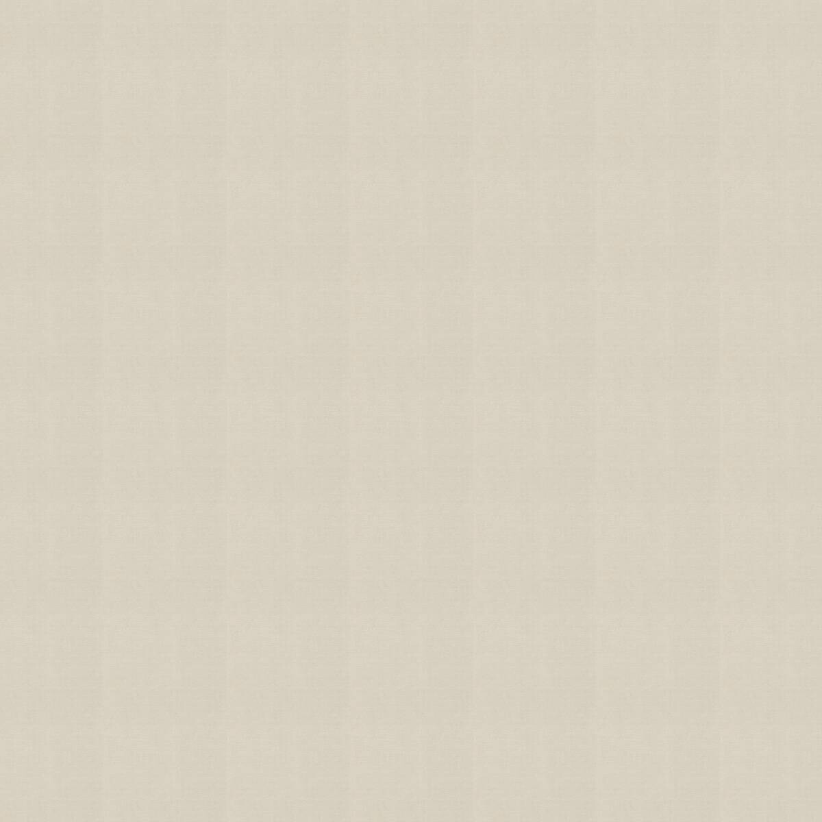 Vliestapete Uni beige B/L: ca. 53x1005 cm