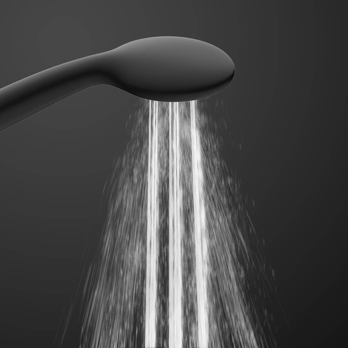 Eisl Handbrause-Set Leon schwarz